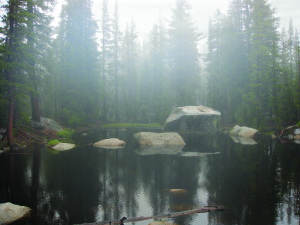 Foggy Pond smaller