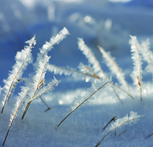 Grass Crystals