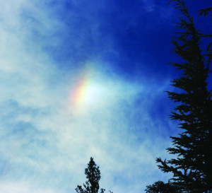 Sun Halo