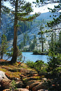 Sunny Upper Lake